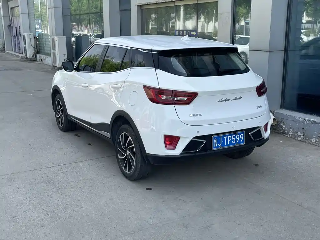 ZOTYE T300