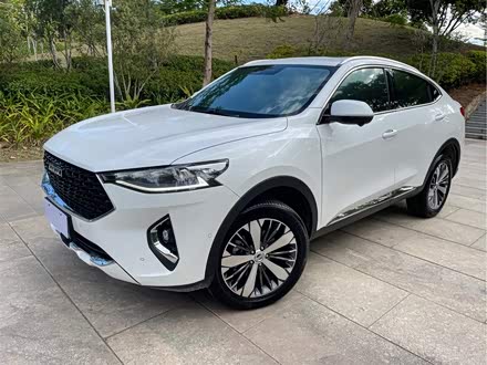 哈弗F7x 2019款 2.0T 两驱极智科技版