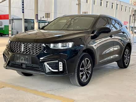 魏牌 VV5 2021款 1.5T 两驱元气橙版