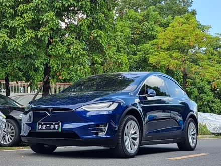 Model X 2017款 Model X 100D 长续航版