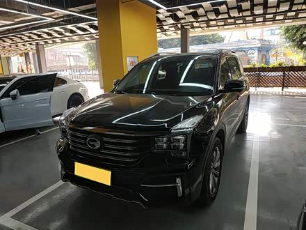 传祺GS8 2020款 390T 两驱豪华智联版（七座）