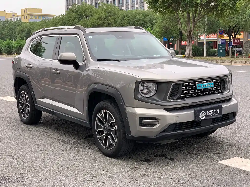 HAVAL SECOND GENERATION BIG DOG NEW ENERGY