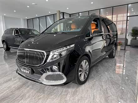 奔驰V级 2021款 V 260 领航版