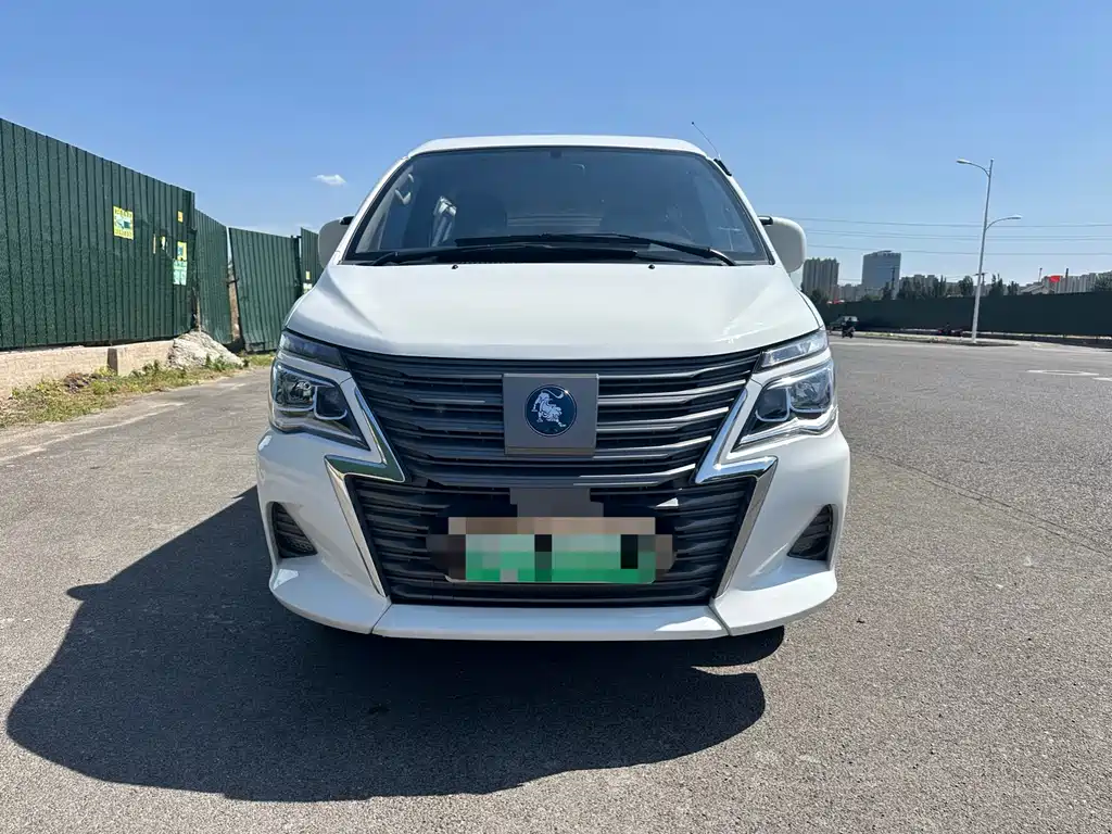 DONGFENG LINGZHI NEW ENERGY