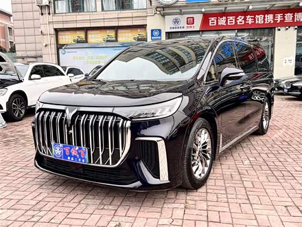 岚图梦想家 2022款 低碳版 梦+智享包