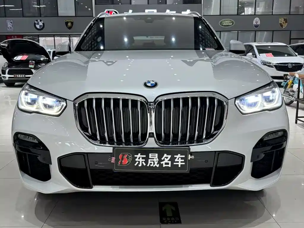 BMW X5 2019 xDrive40i M Sport