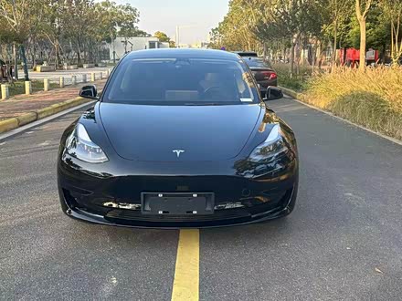 Model 3 2022款 后轮驱动版