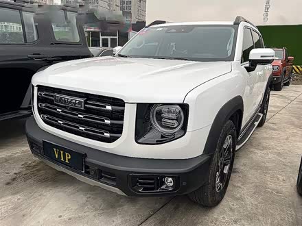 哈弗大狗 2021款 2.0T DCT两驱中华猎犬版