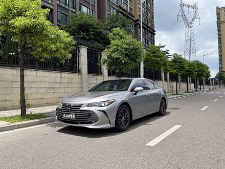 亚洲龙 2019款 2.0L XLE尊享版 国VI