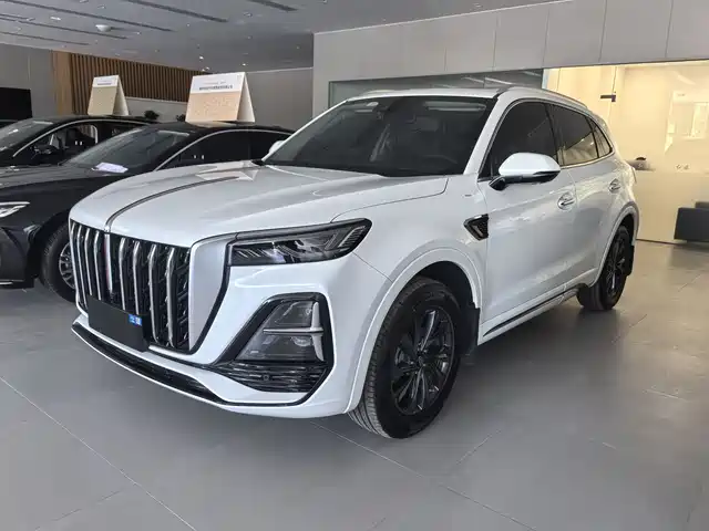 RED FLAG HONGQI HS5 2024
