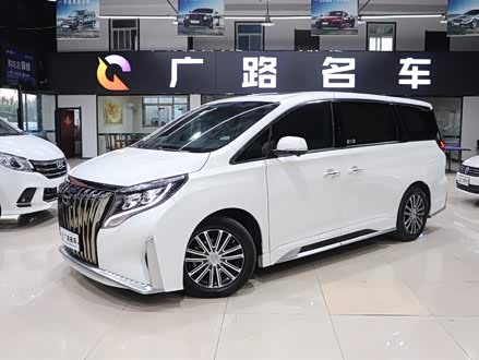 传祺M8 2021款 领秀系列 390T 至尊版