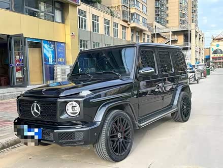 奔驰G级 2019款 G 500