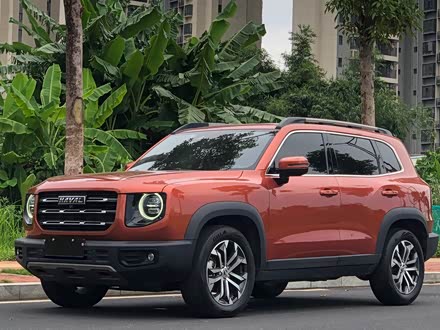哈弗大狗 2021款 1.5T DCT两驱边牧版