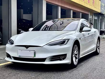 Model S 2019款 长续航版