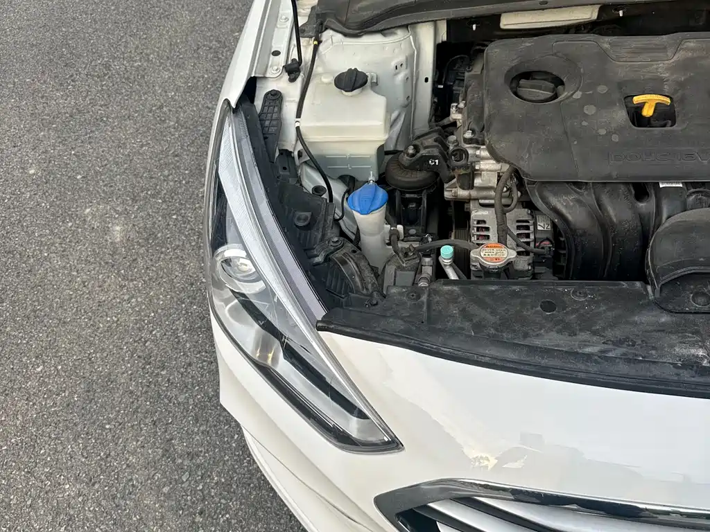 HYUNDAI NAME PICTURE