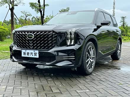 传祺GS8 2022款 领航系列 2.0TGDI 两驱尊贵版（六座）