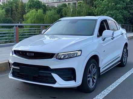 星越 2019款 300T 耀星者