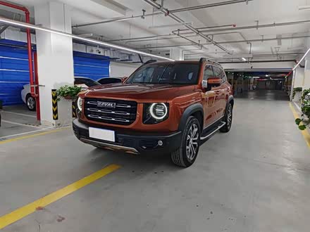 哈弗大狗 2021款 1.5T DCT两驱边牧版