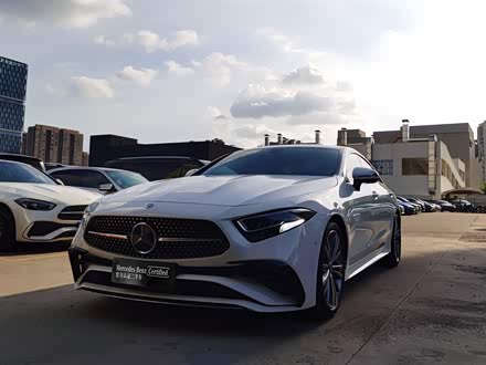 奔驰CLS 2022款 CLS 300 动感型