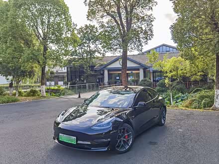 Model 3 2022款 Performance高性能全轮驱动版