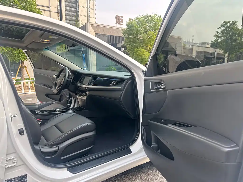 HYUNDAI NAME PICTURE