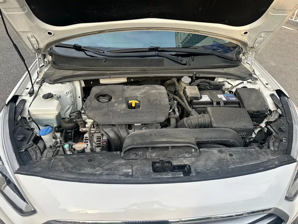 HYUNDAI NAME PICTURE