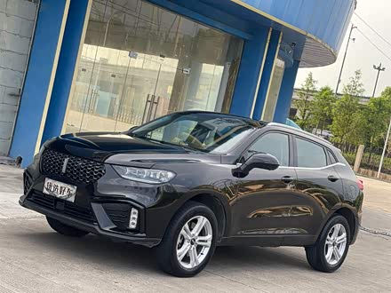 魏牌 VV5 2020款 1.5T 两驱颜先锋