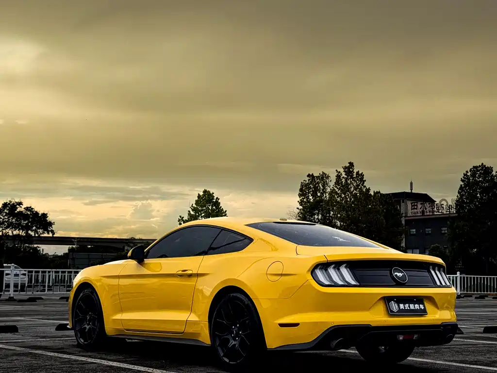 FORD MUSTANG