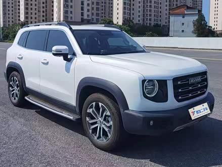 哈弗大狗 2021款 1.5T DCT两驱边牧-旺财版