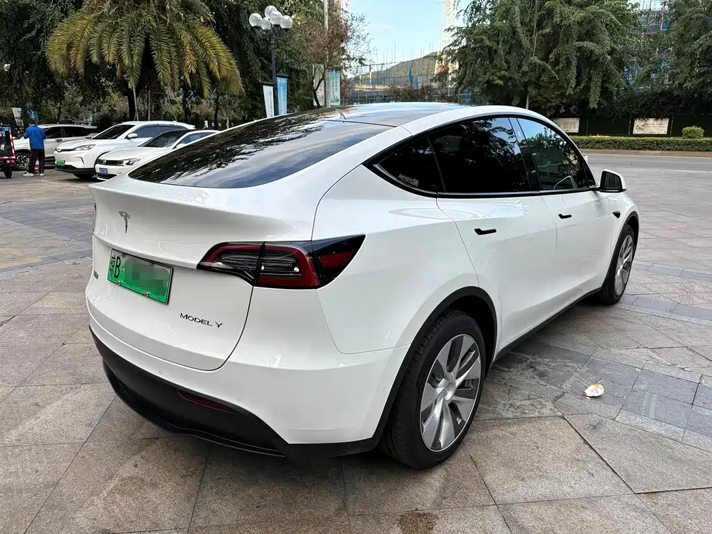 TESLA MODEL Y
