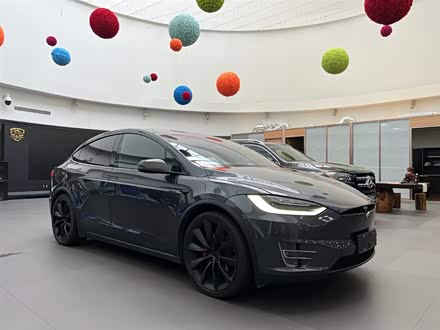 Model X 2019款 Performance 高性能版