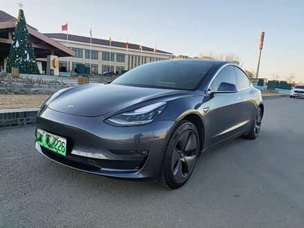 Model 3进口 2019款 长续航后驱版