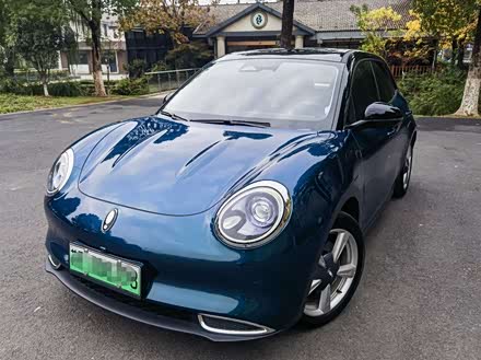 欧拉好猫 2021款 400km标准续航 雅典娜版 三元锂