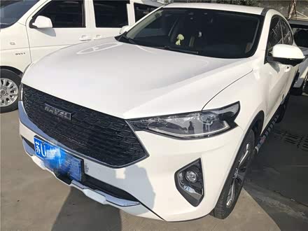 哈弗F7x 2019款 1.5T 两驱极智科技版