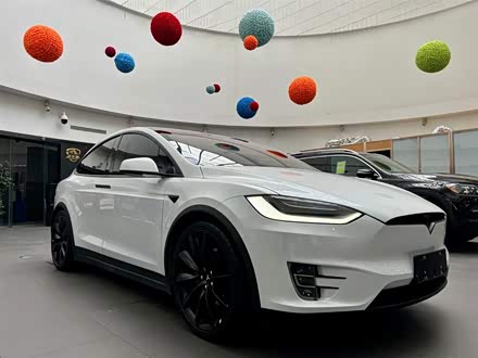 Model X 2019款 Performance 高性能版