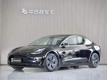 Model 3进口 2019款 长续航后驱版
