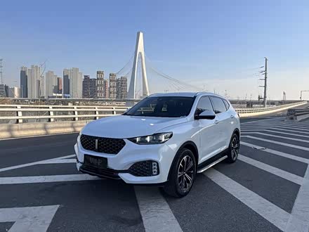 魏牌 VV6 2020款 2.0T 两驱智享+