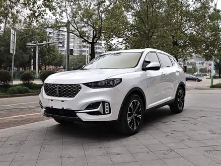 魏牌 VV6 2021款 2.0T 两驱智护+