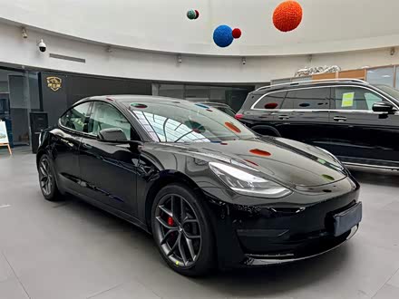 Model 3(进口) 2019款 Performance高性能全轮驱动版