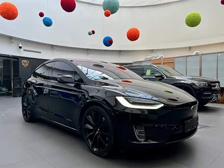 Model X 2019款 Performance 高性能版