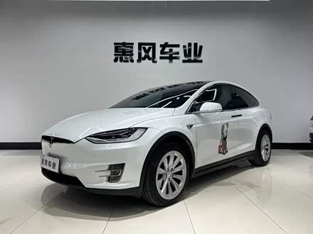 Model X 2019款 长续航版