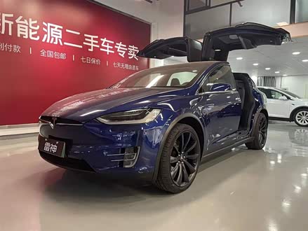 Model X 2017款 Model X 100D 长续航版