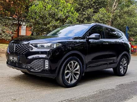 魏牌 VV6 2020款 2.0T 两驱智护+