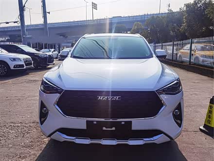 哈弗F7x 2019款 1.5T 两驱极智潮玩版