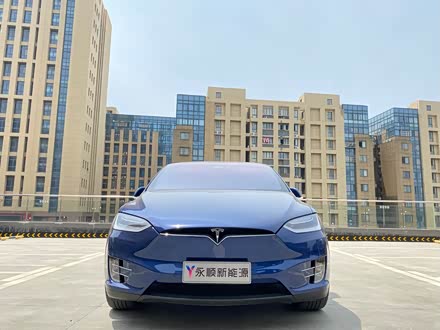 Model X 2017款 Model X 100D 长续航版