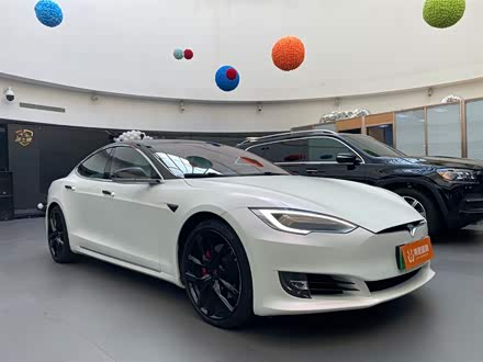 Model S 2019款 Performance 高性能版