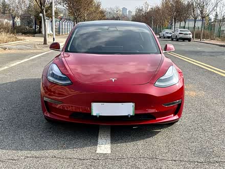 Model 3进口 2019款 长续航全轮驱动版