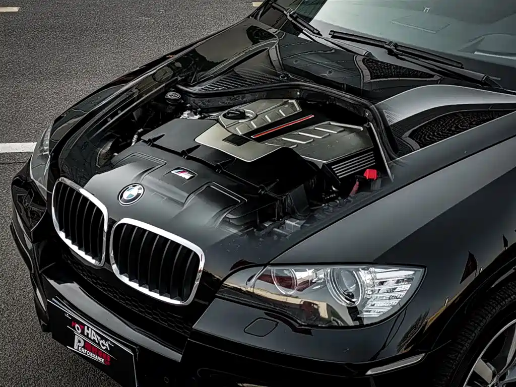 BMW X5 M 2010 X5 M