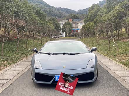 Gallardo 2011款 LP 560-4 Bicolore