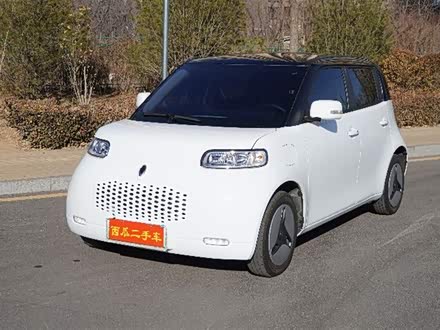 欧拉白猫 2020款 360km 标准型